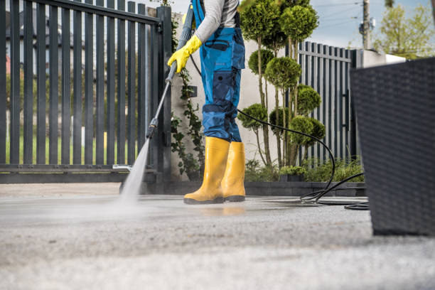 Best Fence Cleaning  in Oak Grove, TN
